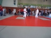 DSC00409-Copy
