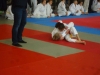 DSC00411-Copy