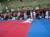 DSC00432-Copy