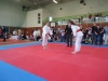 DSC00439-Copy