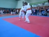 DSC00440-Copy