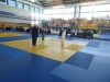 DSC00478-Copy