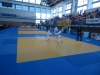 DSC00487-Copy