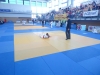 DSC00488-Copy