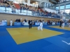 DSC00493-Copy