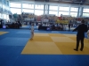 DSC00508-Copy