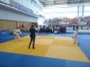 DSC00511-Copy